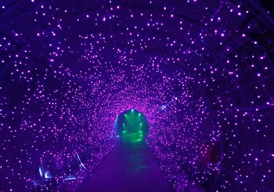 Terowongan Cahaya Suyanggae - violetology.com