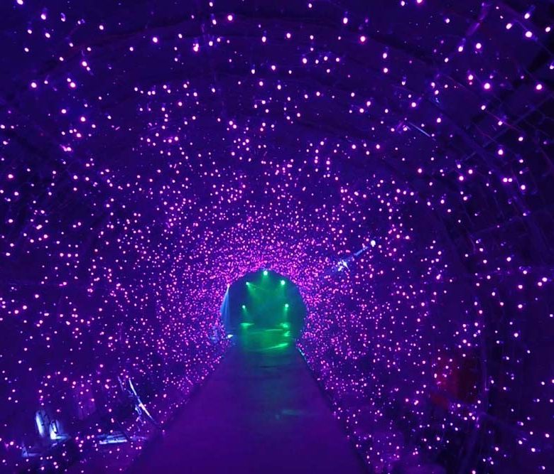 Terowongan Cahaya Suyanggae - violetology.com